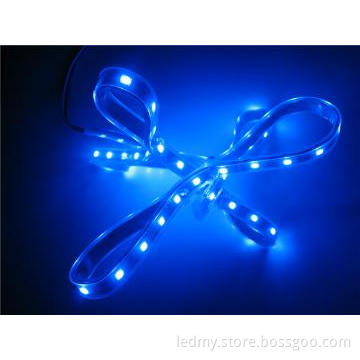 IP67 Sillicone Protection Led String Lights DC12V 60LEDs SMD5050